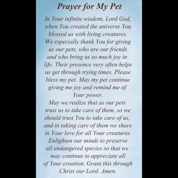 10% off 3 or more items. - Picture 6 of 6